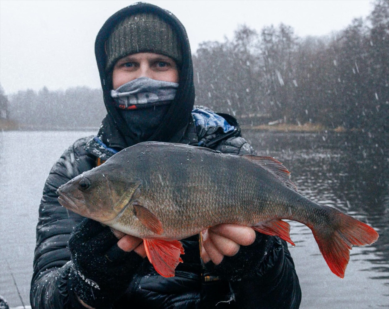 Geecrack Boabab Hog EX